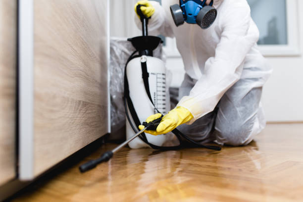 Best Pest Removal Services  in Nacogdoches, TX