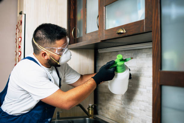 Best Best Pest Control Companies  in Nacogdoches, TX