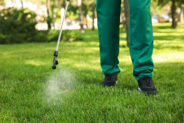 Best Residential Pest Control  in Nacogdoches, TX