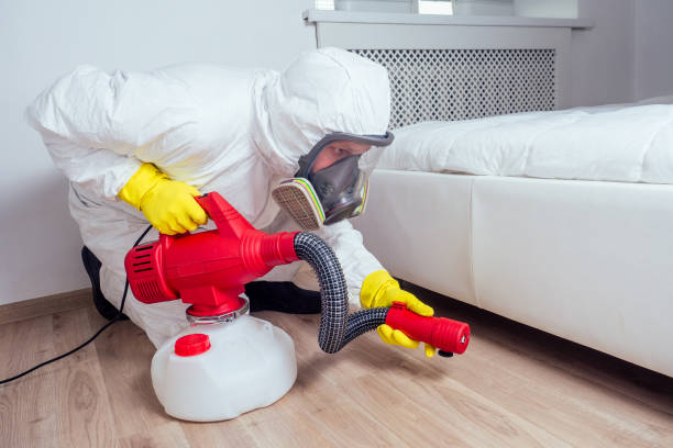 Best Affordable Pest Control Services  in Nacogdoches, TX