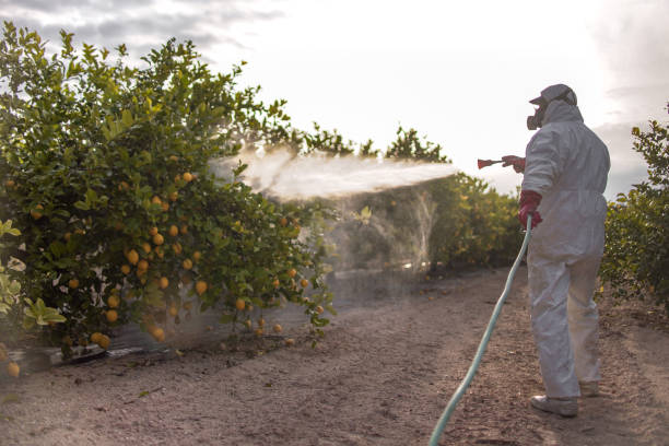 Best Mosquito Control Services  in Nacogdoches, TX
