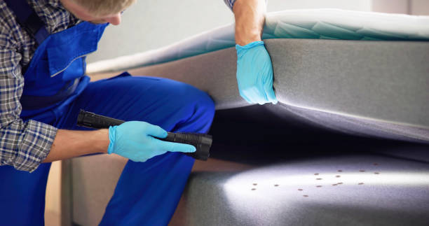 Best Commercial Pest Control Services  in Nacogdoches, TX