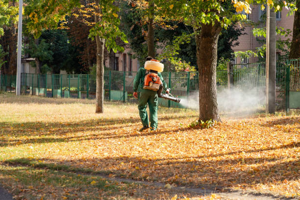 Best Local Pest Control Services  in Nacogdoches, TX