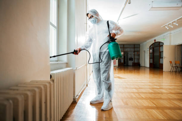 Best Flea Control Services  in Nacogdoches, TX