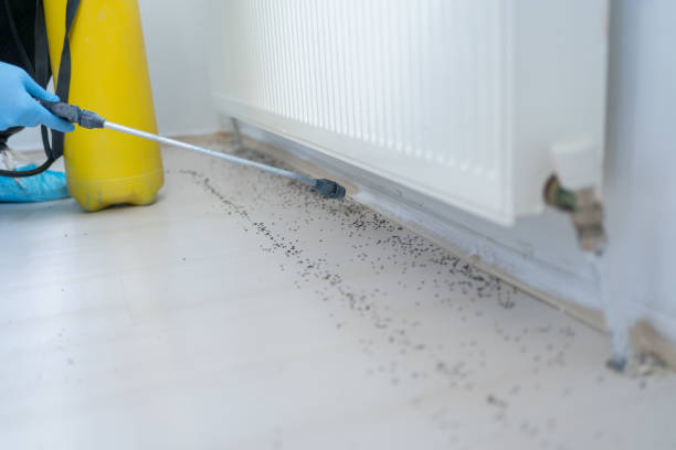 Best Cockroach Control Services  in Nacogdoches, TX