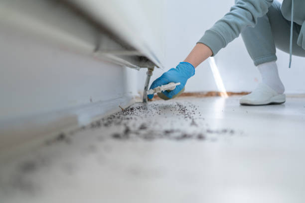 Pest Prevention Services in Nacogdoches, TX