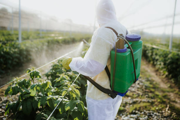 Best Best Pest Control Companies  in Nacogdoches, TX